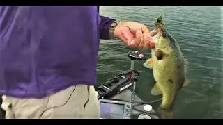 Summertime Bass Fishing Toledo Bend - Greg Hackney - Sportsman TV