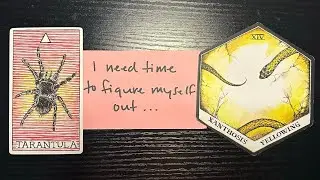 THE NEXT THREE MONTHS IN THIS CONNECTION ARE GOING TO CHANGE **EVERYTHING** BETWEEN THE TWO OF YOU ￼