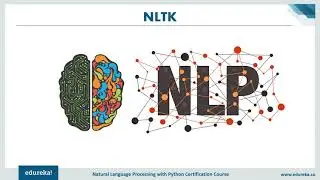 Natural Language Processing NLP & Text Data Analysis Tutorial Using NLTK   NLP