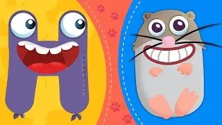 HAMSTER | Learn the Alphabet with Animals |&nbsp;Letter H