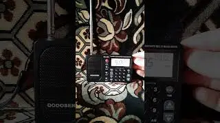 QODOSEN DX-286 