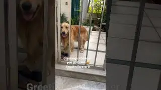 #pawsome 🐶🐾🐾