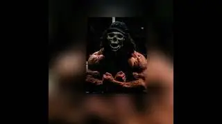 vuki vu vuki vu phonk