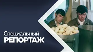 Специальный репортаж 