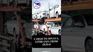 Cargo to Jonava, Lithuania From Dubai