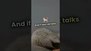 Amazing Cat Facts You Didn't Know! | Fun and Surprising Cat Secrets