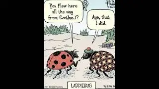 Funny #22 #theproclaimers #scotland #humor #humour #80smusic 07/03/24😁😁💜💋