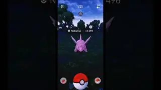 Catching a Nidorino CP 496 in Pokemon GO! #PokemonGOCatch #PokemonGOShorts #Nidorino