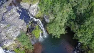 Forest falls Graskop