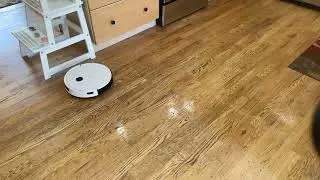 Yeedi Vac 2 Pro - Mopping Demonstration