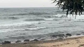 Tappa&rsquo;s surf report 3/11/25