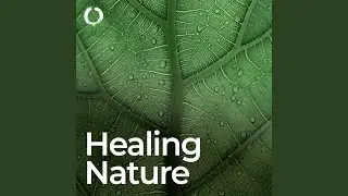 Soothing Nature Sounds with Healing Solfeggio Frequencies