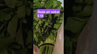 Slada air 1 ikat $15 #shorts #sayuransegar #sayurslada #hargasayur
