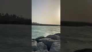 Al Khan beach🏖 #shorts #dubailife #dubai #beachlife #travelvlog