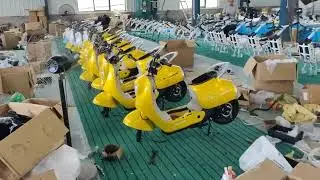 Undertake electric bike order.​Customize various styles of electric bike