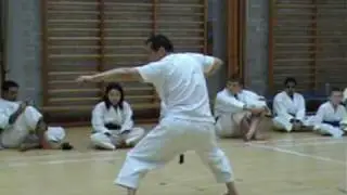 Akihito Isaka - Meikyo - www.theshotokanway.com