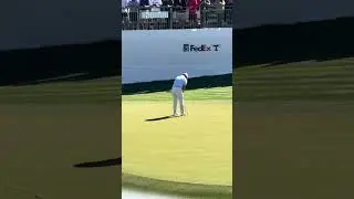 Solid at 16 for Tom Kim #golf #golfer #golfswing #golfshorts #pga #pgatour #shorts #viral #trending