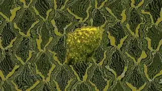 bloomtodeath