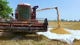 Wheat harvesting video in pakistan || Gandum ki katai wali machine || gandum ki katai ka season 2025