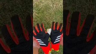 Adidas Predator GL Pro Solar Energy.  #adidasgloves #adidas #goalkeeper #porterosmx #shorts #guantes