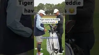 Freddie&rsquo;s bag SHOCKS Tiger 😂