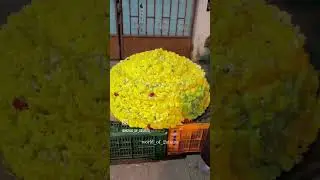 Tumhi pn keli ka Bhogichi bhaji #bhogi #minivlog #shorts