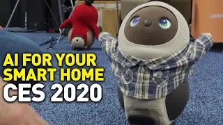 CES 2020: Pet Robots, Smart Toilets, Alexa Shower Heads and More for Your Smart Home