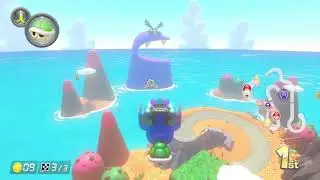 Playing with Zachary_zz: Mario Kart 8 edition 3