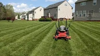 Mowing With SEF - 
