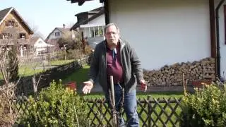 Wie schneide ich einen Maloni Miniapfelbaum