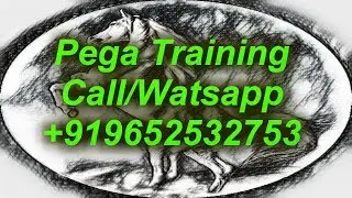 PEGA BPM Demo - Call/waps app : +919652532753