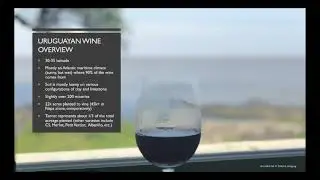 Uruguayan Wine 101
