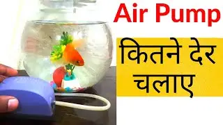 bowl me air pump kitni der chlae/ how much time aquarium air pump to be run/