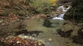 Soothen-Pond Therapy Session - Meditation, Relaxation, Soothing, Calming, Stress Relief, Study Music