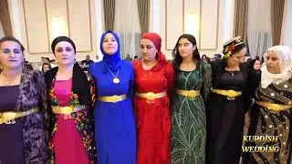 CUWAN OMERİ - CİDA XERZANİ - DAWETA FERHAT AKKUŞ AŞİRA JİRKİYA - 2025 KURDİSH WEDDİNG 