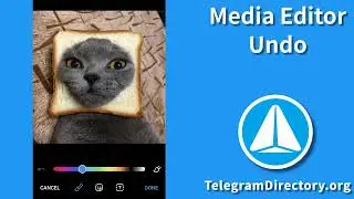 Telegram Marketing on Telegram Directory easy to globally Gain more Subscribers &ldquo;Media editor Undo&rdquo;