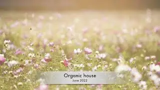 Beatport top 10 April 2022(Organic House / Downtempo)