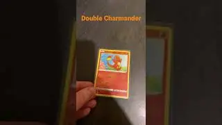 2 Charmanders in 1 Sleeve