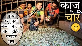 अंगणात सुकत घातलेल्या काजूची चोरी..😜 | मालकाने चोरांना चोपला दांड्याने..😂 | Yes महाराजा