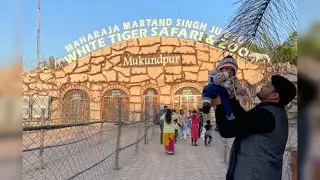 Mukundpur white tiger safari | madhya pradesh | adventure time #life #tiger 