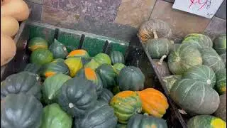 DONQUA VEGETABLE