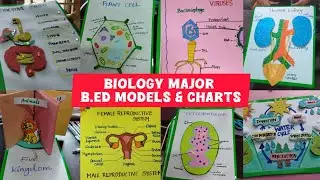 Biological  science  B.Ed TLM / Biology Major charts | Biology working models  