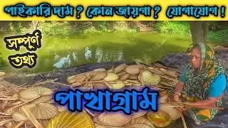 প্রচন্ড গরমে তালপাতার পাখা তৈরীতে ব্যস্ত পাখাগ্রাম||Make handfan with palm trees leaftalpatar pakha