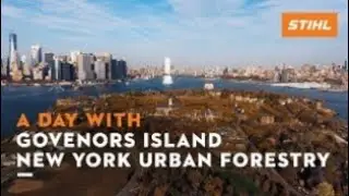 A day with | Govenors Island&lsquo;s urban forestry team | STIHL