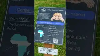 My trip to zoo was amazing!!!