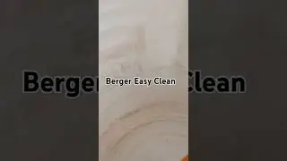 Berger Plastic Paint 🍊🧡#shorts