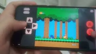 Pocket Monster + Boss Level