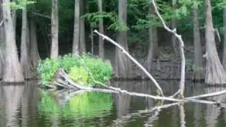 Little Bay near El Dorado, AR