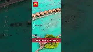 Vaadhoo Island... #shorts #youtubeshorts