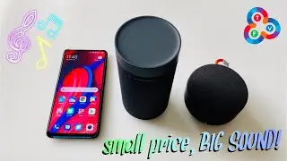 Mi Outdoor Bluetooth Speaker & Speaker Mini Review - Small Price, Big Sound!